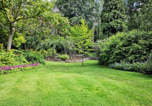 Optimiser l'expérience du jardin à Maison-Ponthieu